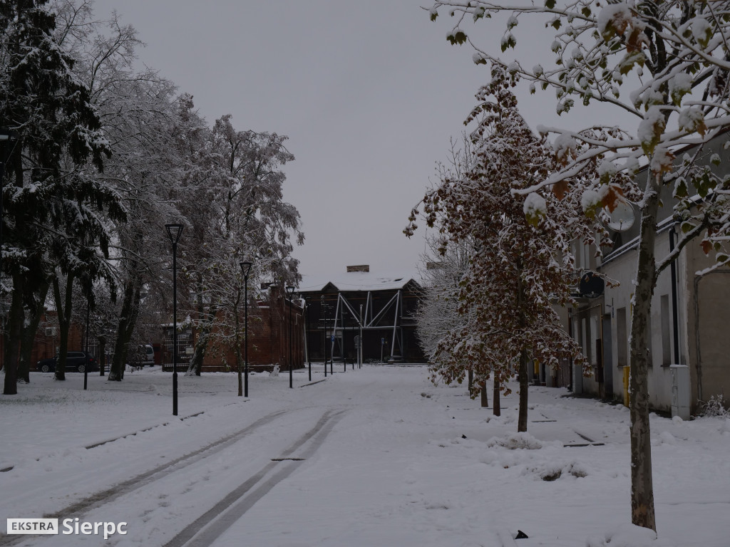 Zima na sierpeckim Dołku