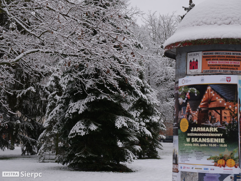 Zima na sierpeckim Dołku