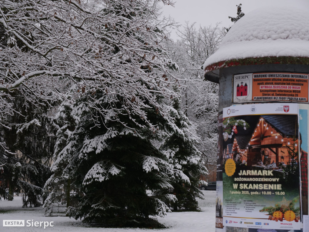 Zima na sierpeckim Dołku