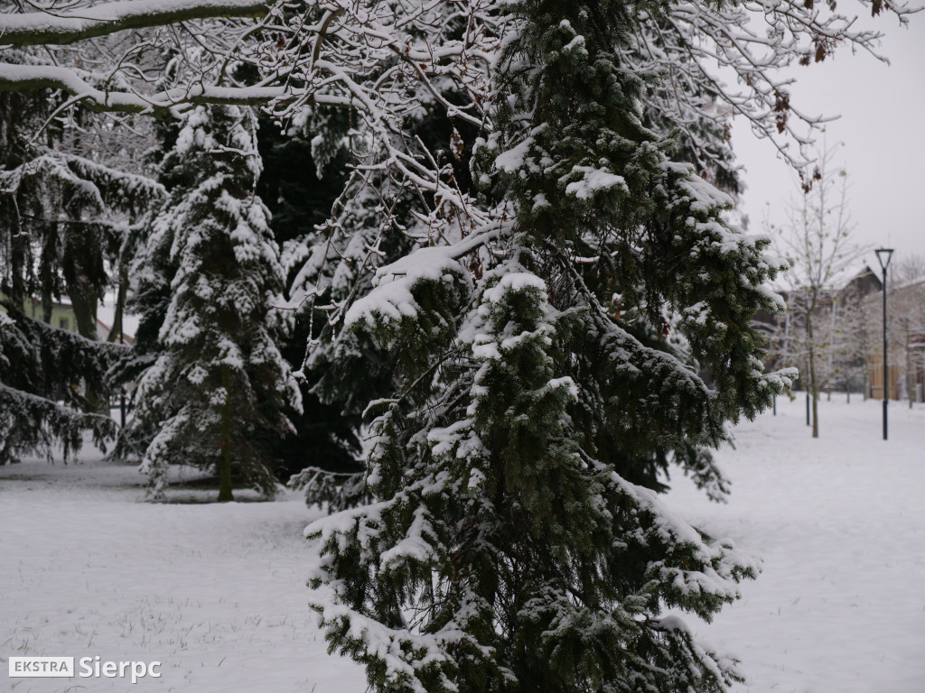 Zima na sierpeckim Dołku