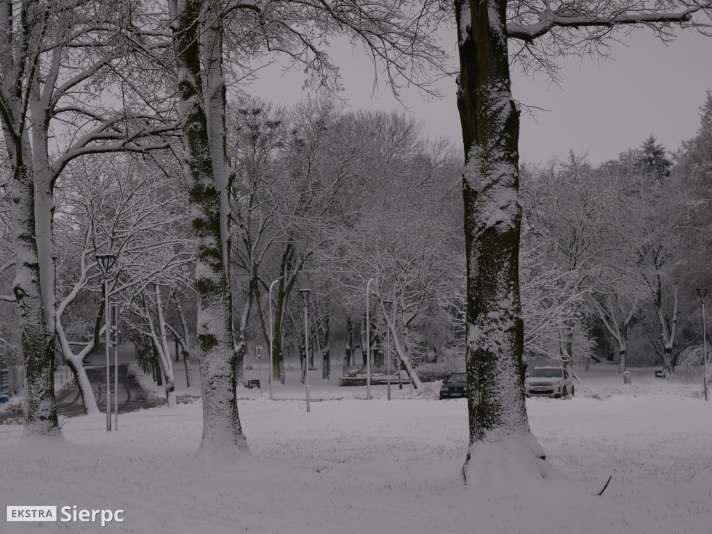 Zima na sierpeckim Dołku