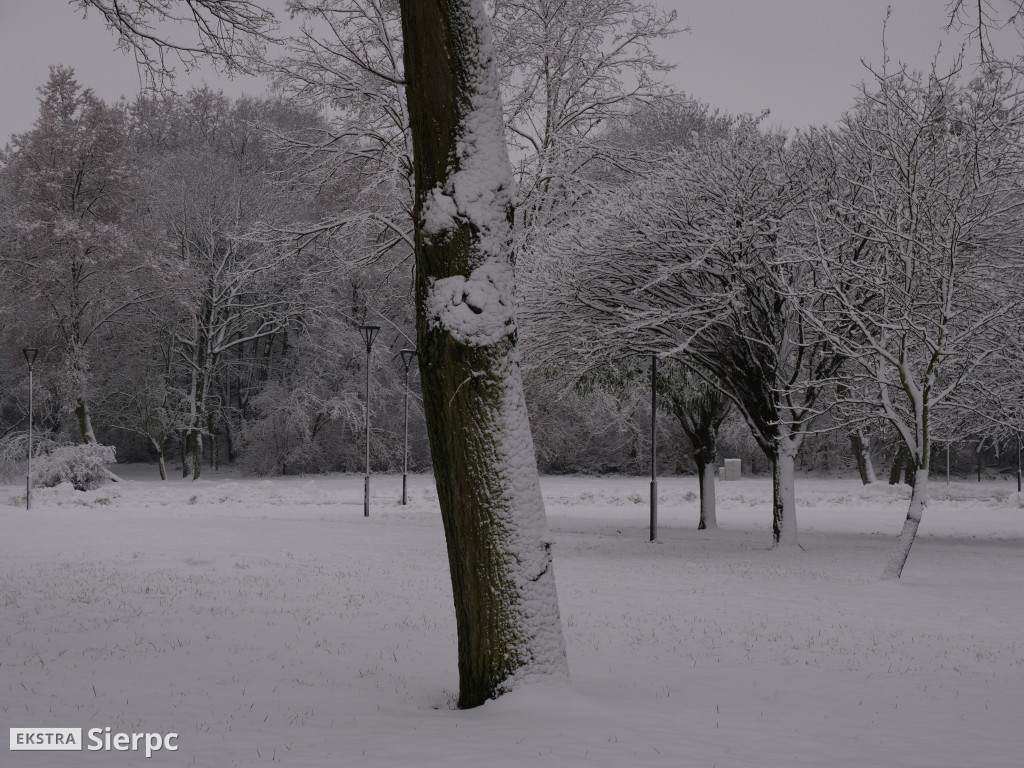 Zima na sierpeckim Dołku