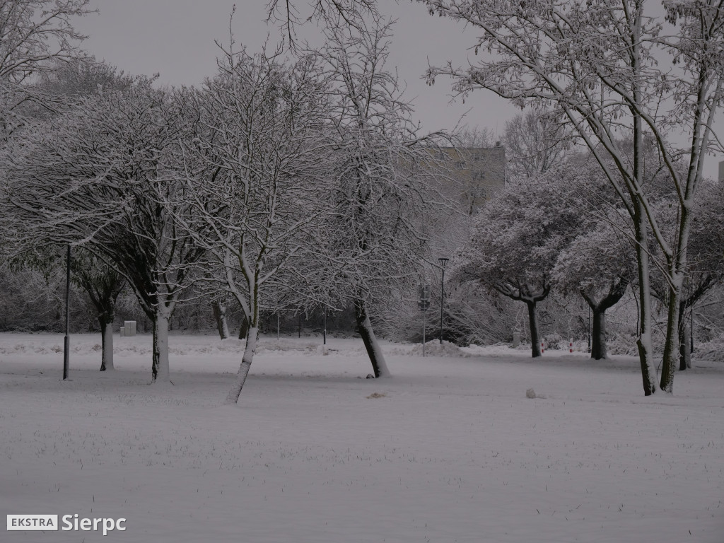 Zima na sierpeckim Dołku
