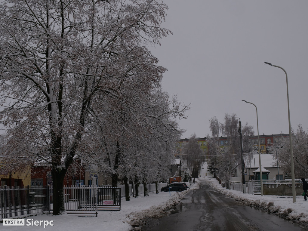 Zima na sierpeckim Dołku