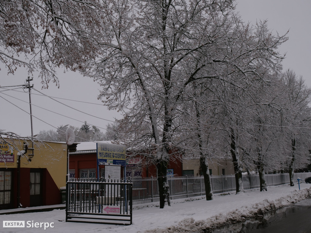 Zima na sierpeckim Dołku