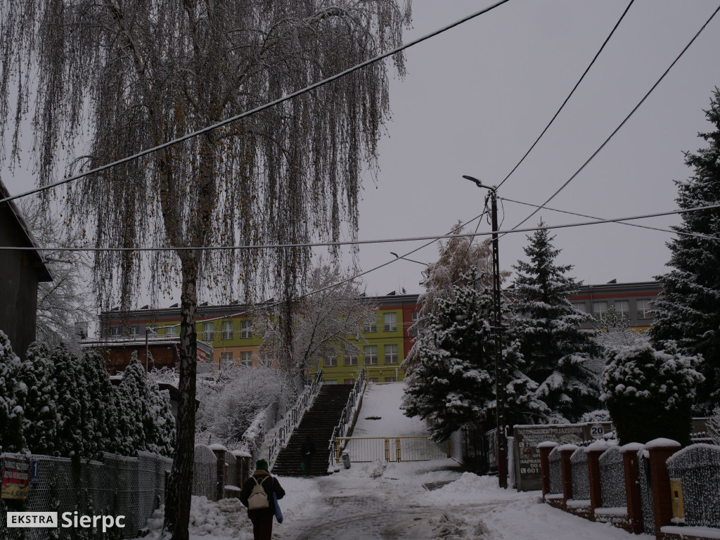 Zima na sierpeckim Dołku