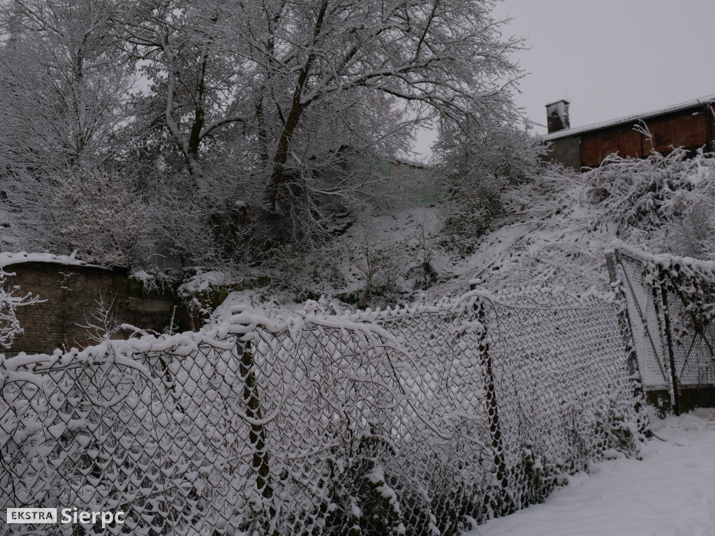 Zima na sierpeckim Dołku