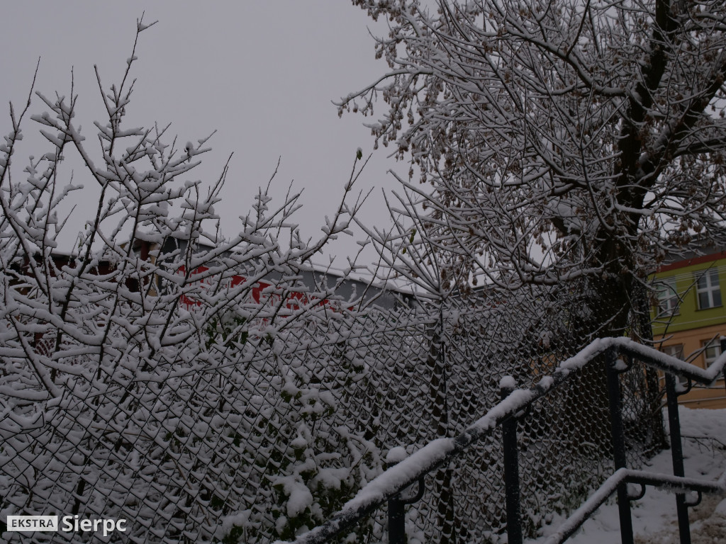 Zima na sierpeckim Dołku