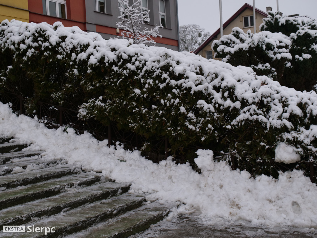 Zima na sierpeckim Dołku