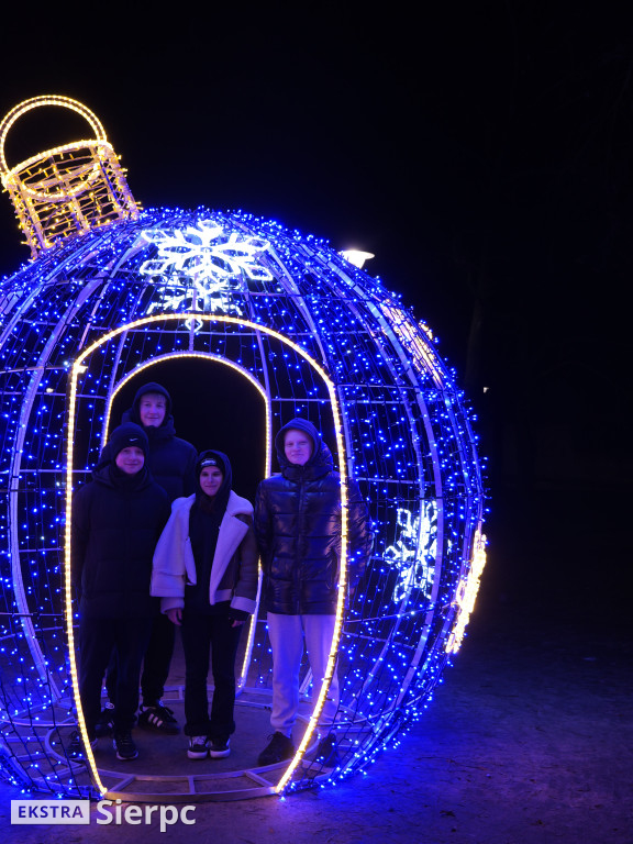 Świąteczne dekroacje - odsłona pierwsza