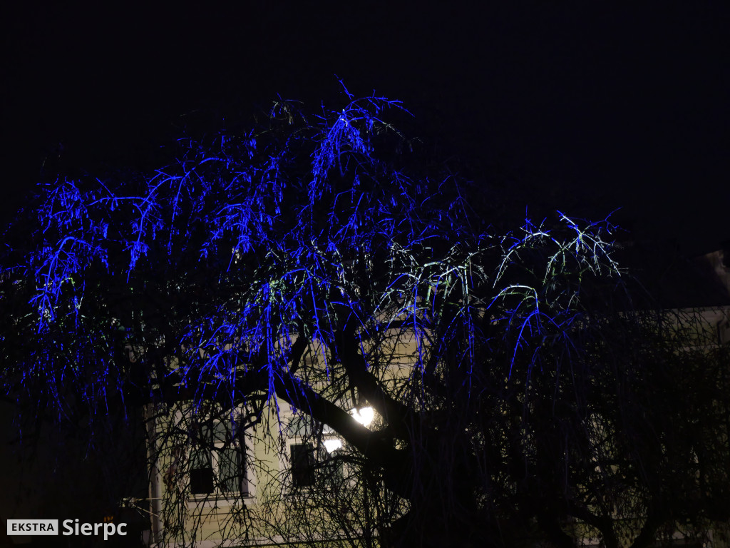 Świąteczne dekroacje - odsłona pierwsza