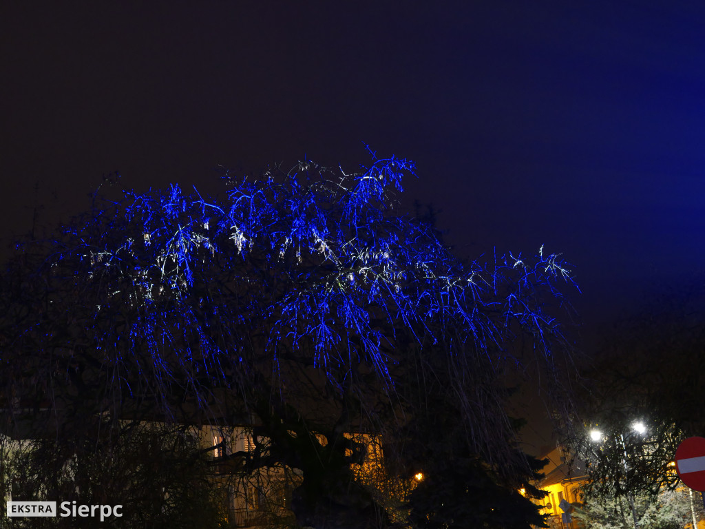 Świąteczne dekroacje - odsłona pierwsza