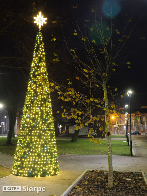 Świąteczne dekroacje - odsłona pierwsza