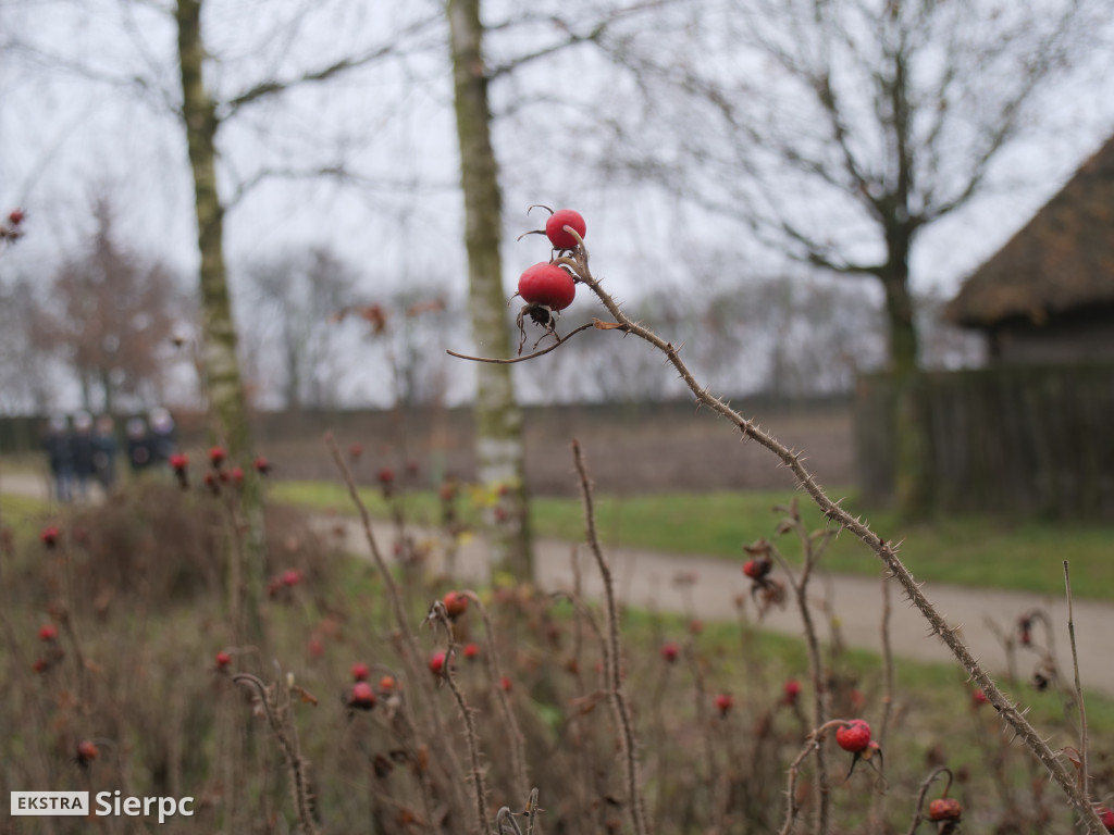 Jarmark bożonarodzeniowy w skansenie