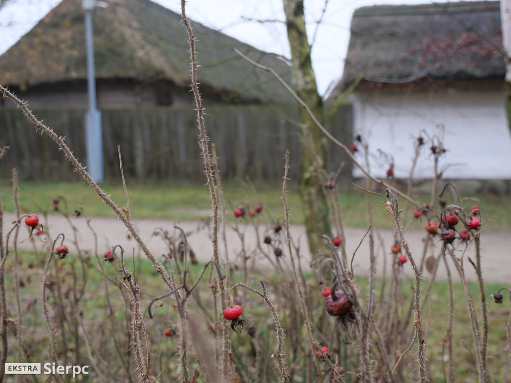 Jarmark bożonarodzeniowy w skansenie