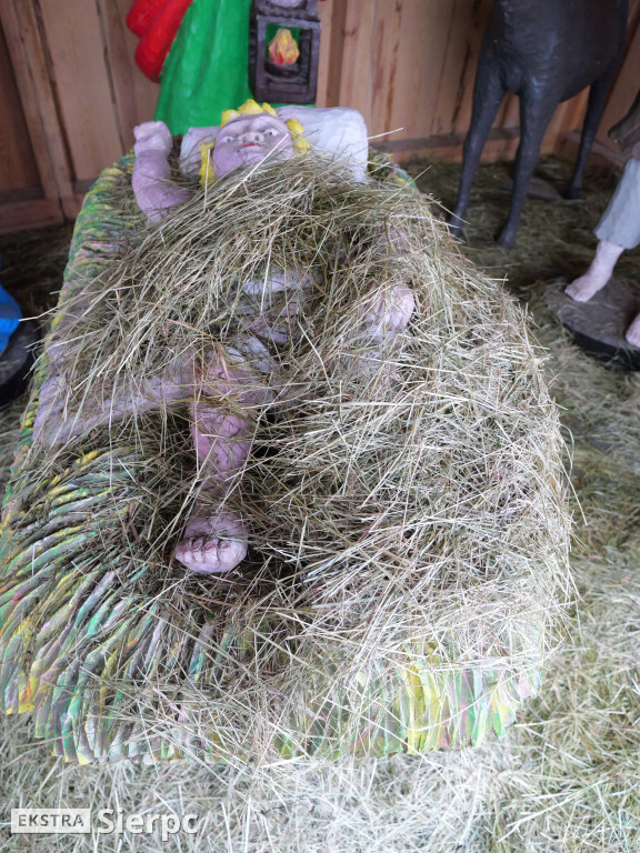 Szopka na Placu Europejskim