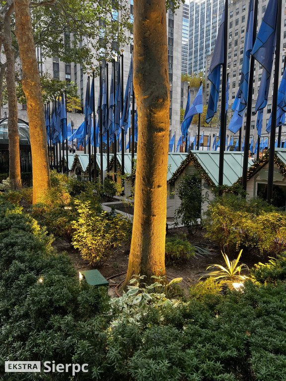 Jacek Chalicki w Nowym Jorku