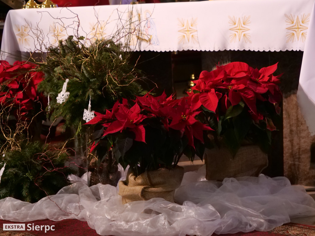 Szopki bożonarodzeniowe w sierpeckich kościołach