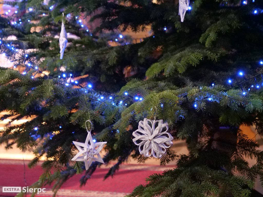 Szopki bożonarodzeniowe w sierpeckich kościołach