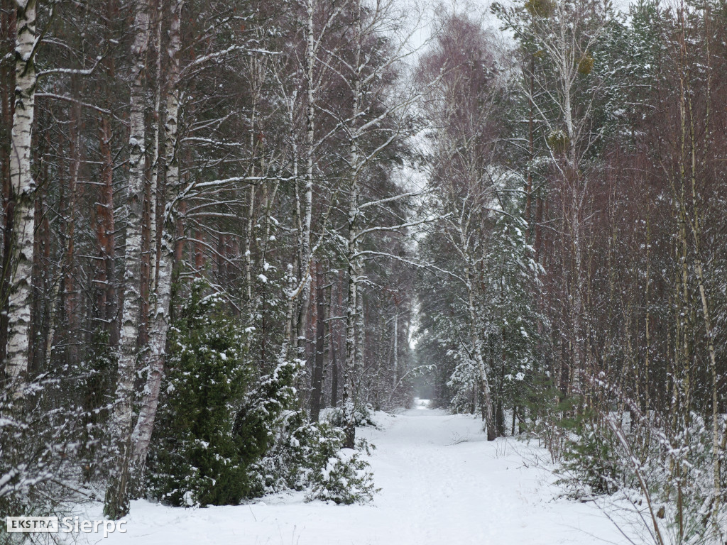 Sportowe powitanie Nowego Roku