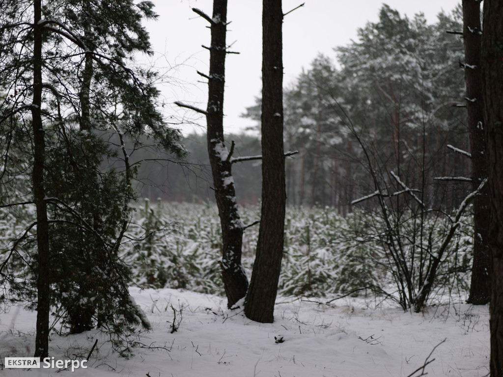 Sportowe powitanie Nowego Roku