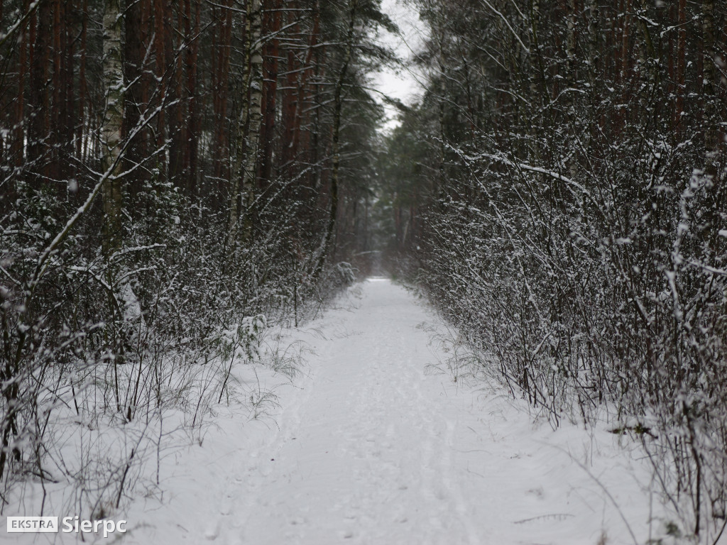 Sportowe powitanie Nowego Roku