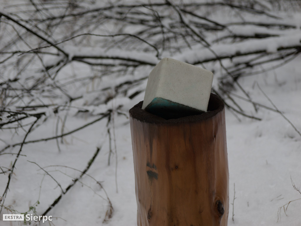 Sportowe powitanie Nowego Roku