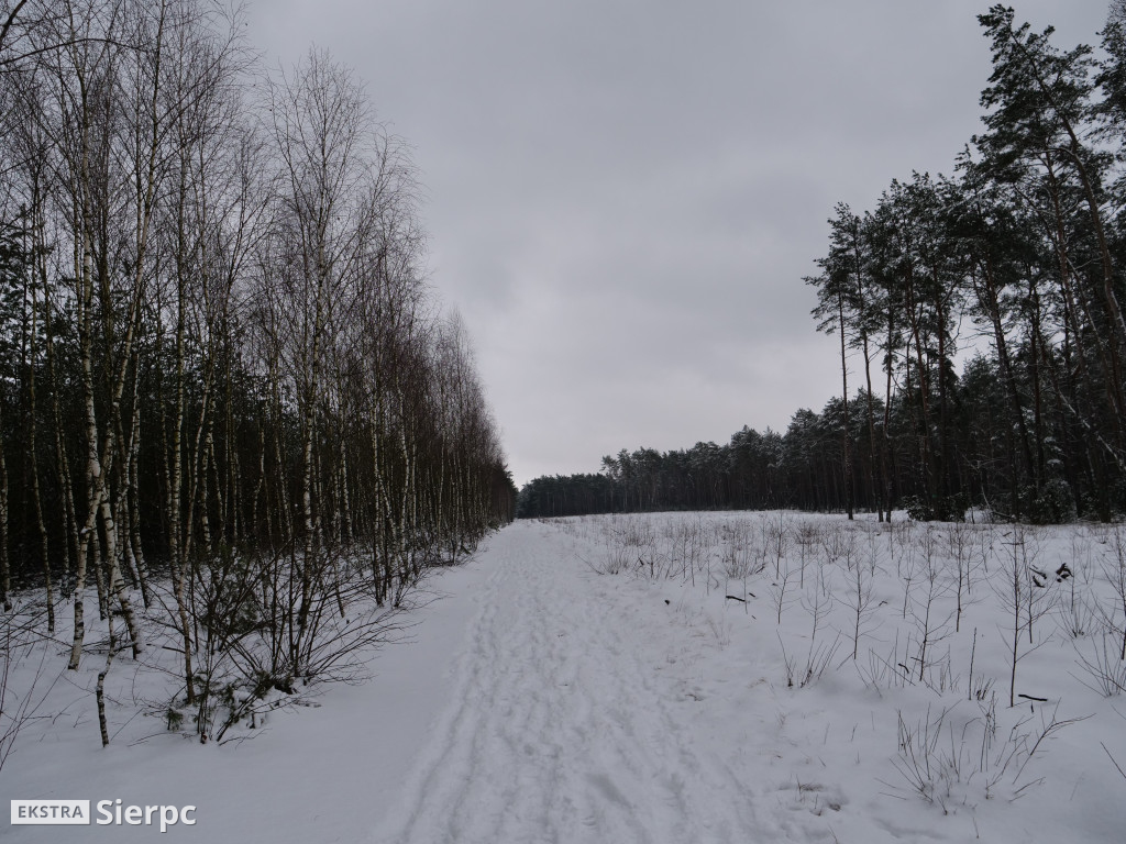 Sportowe powitanie Nowego Roku