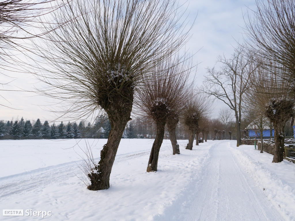 Zima w skansenie