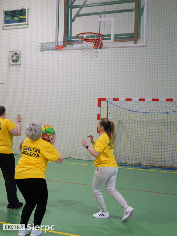 IV Gminny Turniej z okazji Dnia Babci i Dziadka