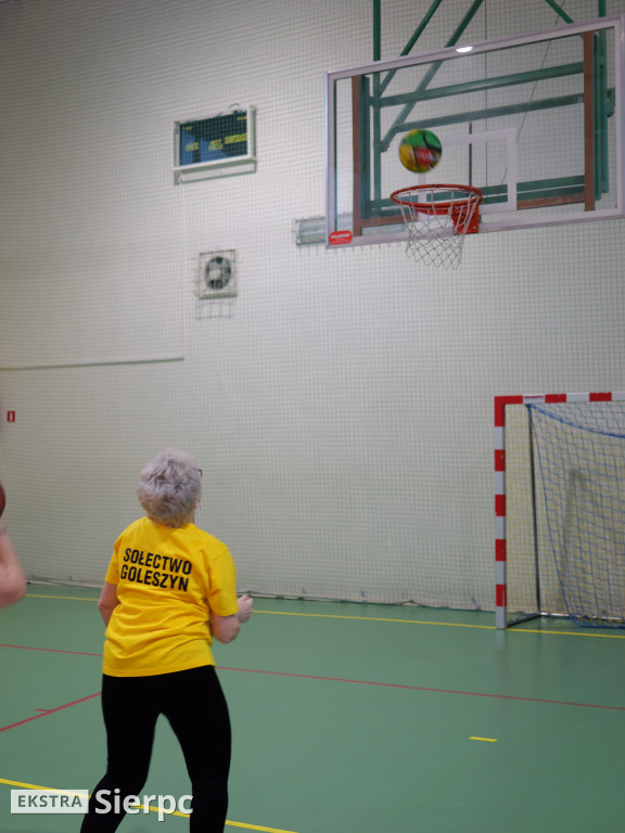 IV Gminny Turniej z okazji Dnia Babci i Dziadka