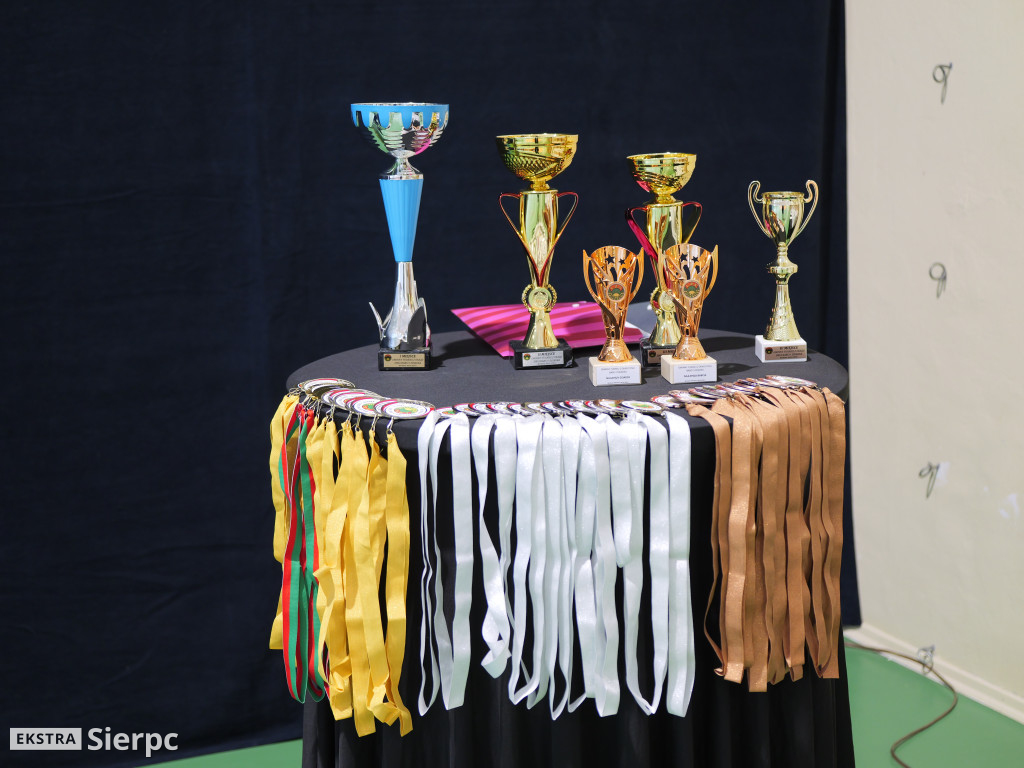 IV Gminny Turniej z okazji Dnia Babci i Dziadka