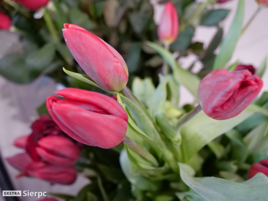 Dzień Kobiet i Dzień Sołtysa w Lelicach