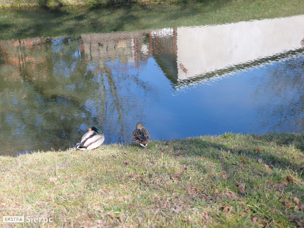 Powiatanie Wiosny na Sportowo