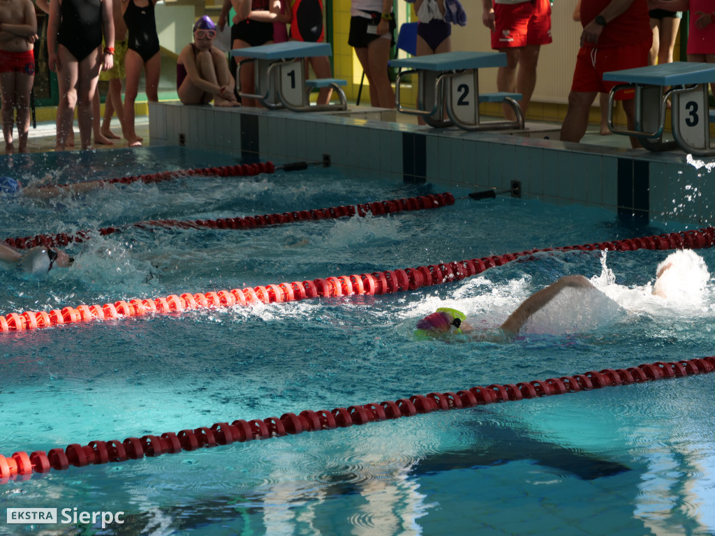 Mitting pływacki w Sierpcu