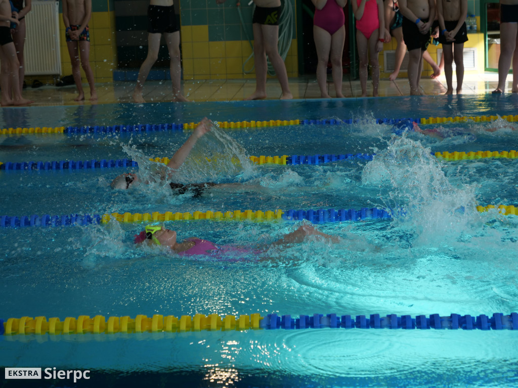 Mitting pływacki w Sierpcu
