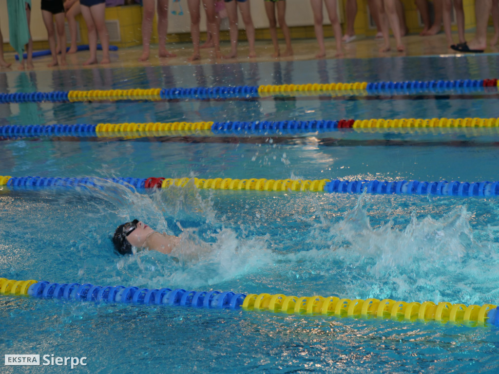 Mitting pływacki w Sierpcu