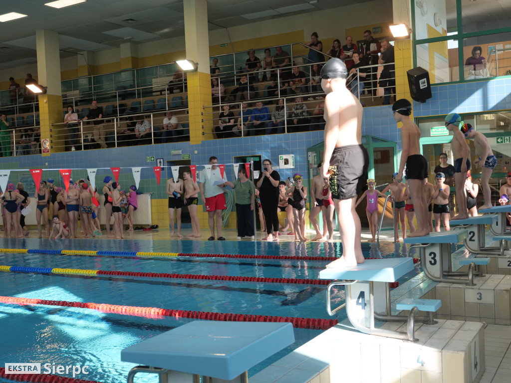 Mitting pływacki w Sierpcu