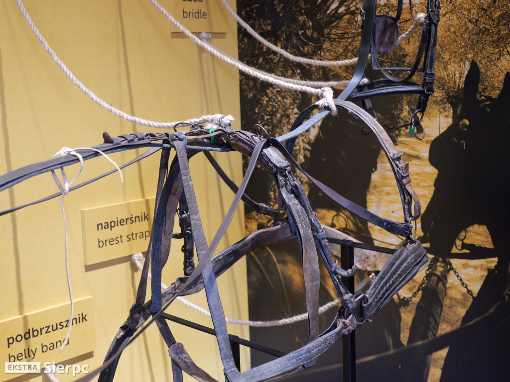 Niedziela palmowa w skansenie