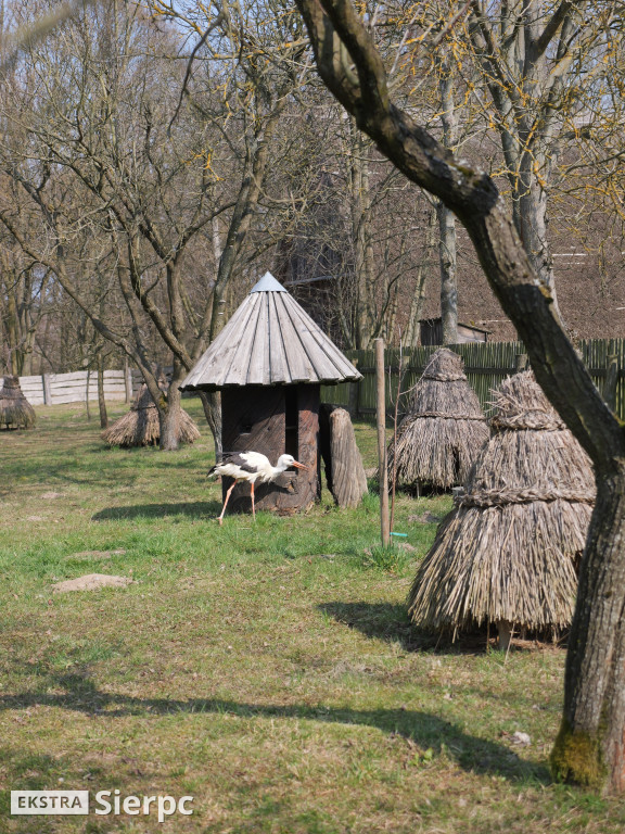 Niedziela palmowa w skansenie