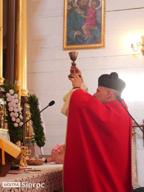 Niedziela palmowa w skansenie