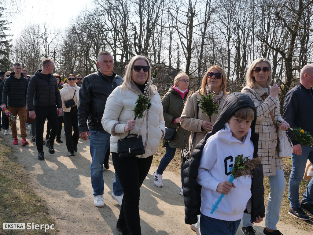 Niedziela palmowa w skansenie
