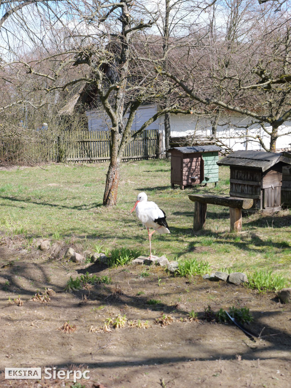 Gry i zabawy wielkanocne