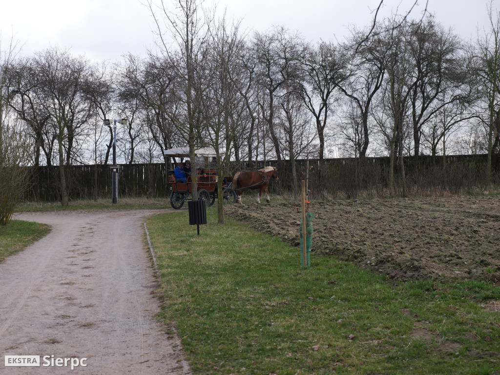Gry i zabawy wielkanocne