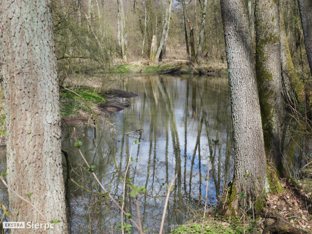 Gry i zabawy wielkanocne