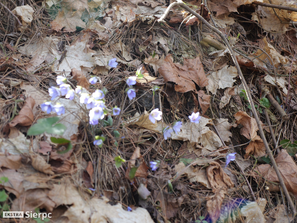 Gry i zabawy wielkanocne