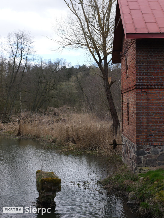 Gry i zabawy wielkanocne