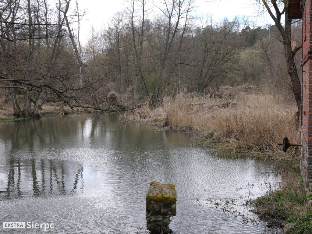 Gry i zabawy wielkanocne