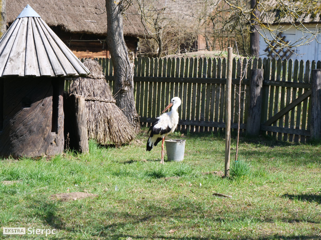 Gry i zabawy wielkanocne