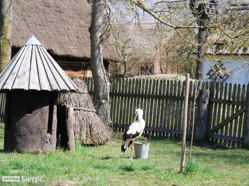 Gry i zabawy wielkanocne